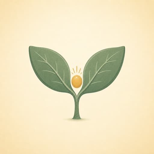 Our Family Habits: Garden